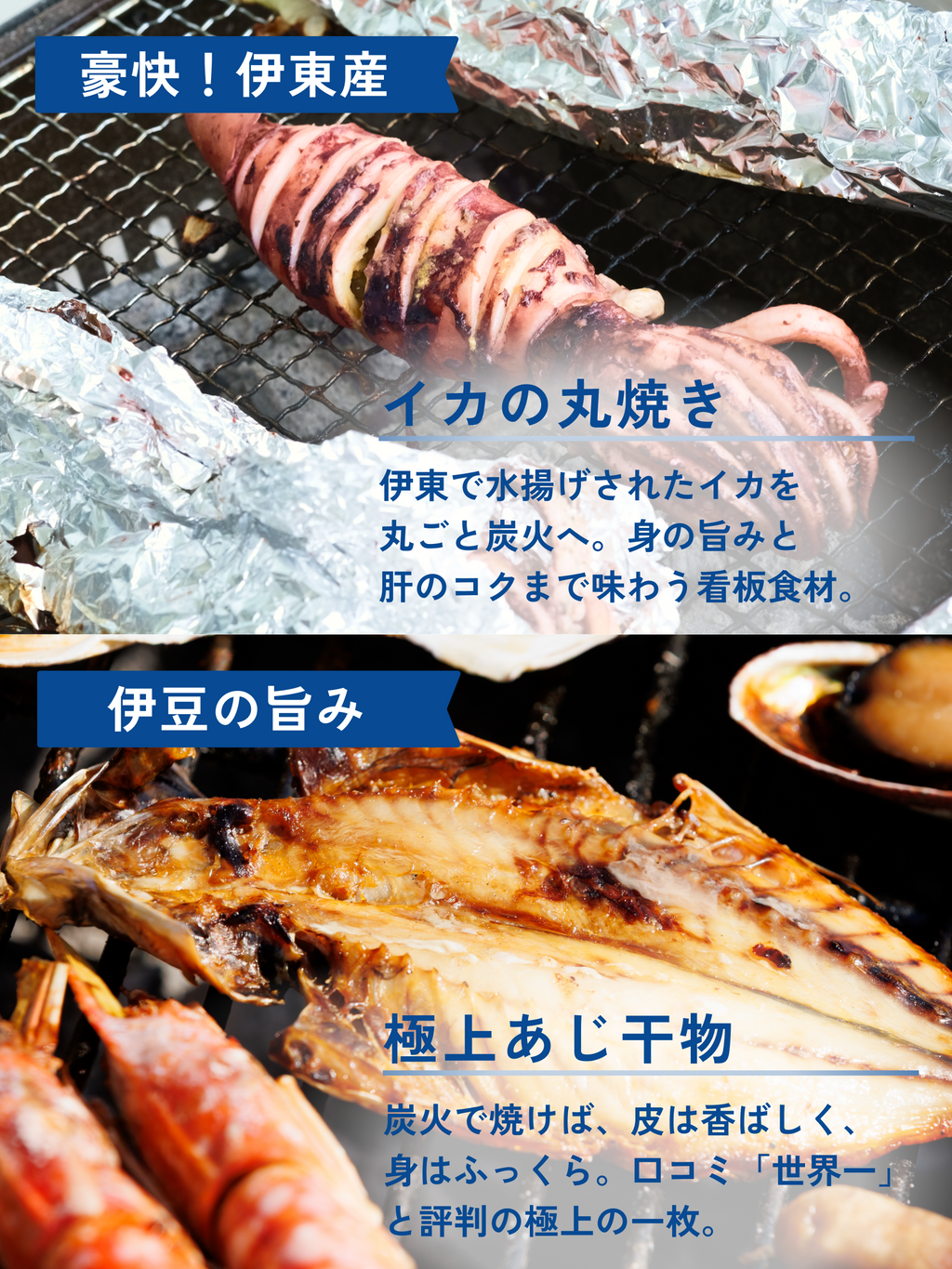 【2~3人前】伊豆の恵み海鮮BBQセット＋静岡名物セット